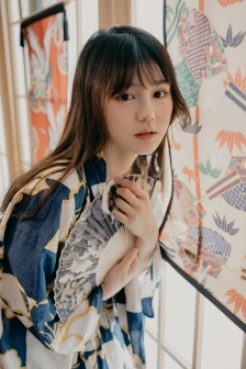丰年经继拇中文5的功能介绍